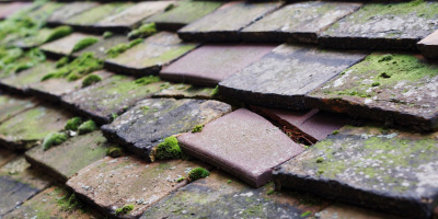 Pencader roof repair costs